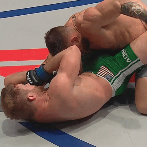 pflmma giphyupload party punch espn GIF
