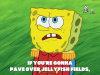 season 7 GIF by SpongeBob SquarePants
