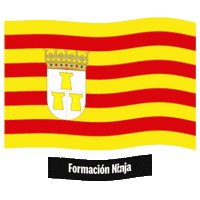 Bandera Teruel Sticker by Formación Ninja