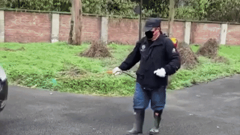 animalsasia giphyupload coronavirus china animalsasia GIF