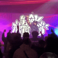 Lets Go Edm GIF