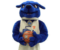 Dog Basketball Sticker by Ontario Tech Ridgebacks