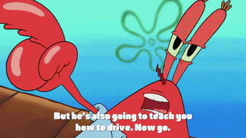 season 9 lost in bikini bottom GIF by SpongeBob SquarePants