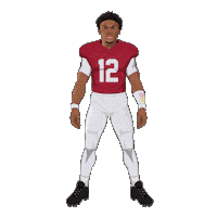 College Football Sticker by Panini America