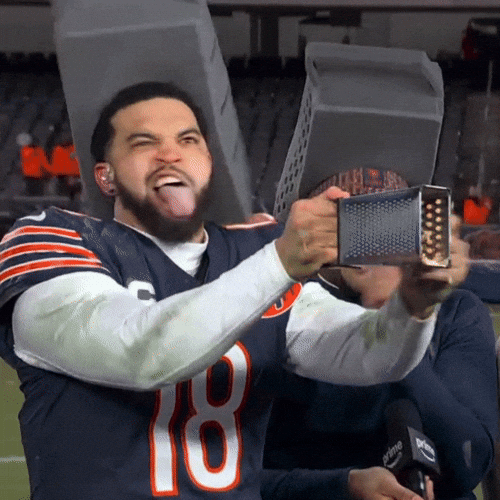 Green Bay Packers Football GIF