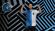 Rocket League Win GIF by BS+COMPETITION