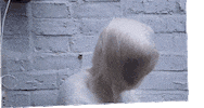 art direction GIF by MEGAN X KATHRYN PURVES