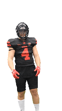 UWEPerformanceSport ncaa college football american football uwebristol Sticker