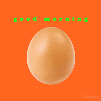 Happy Good Morning GIF