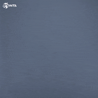 Walk Out Walk In GIF by WTA