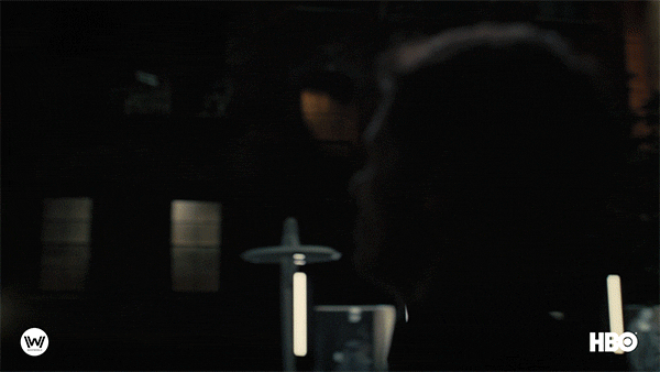 Season 4 Hero GIF by Westworld HBO