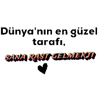 Mnks Aşk Sticker