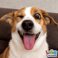 Dog Lol GIF by Lucas and Friends by RV AppStudios