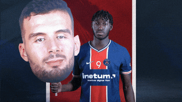 France Sport GIF by Paris Saint-Germain Handball