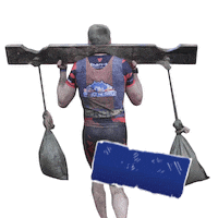 Conquer Red Bull Sticker by RedBullDanmark