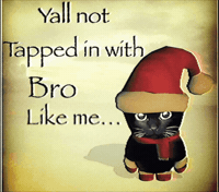 Bro Gif GIF
