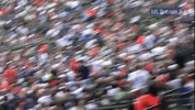 kc GIF by MLB
