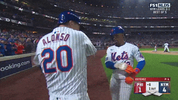 New York Mets Sport GIF by MLB