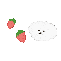 Victon 딸기 Sticker