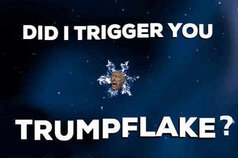 rainbowgrey giphygifmaker giphyattribution triggered snowflake GIF