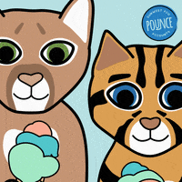 sunwestfcu credit union icu day international credit union day sunwest GIF