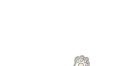 Cat Kitty Sticker