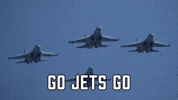 New York Jets Sport GIF by Sealed With A GIF