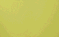 cash love GIF by Kohl's