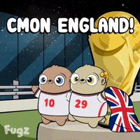 World Cup Football GIF by Fugz Official