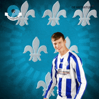 Voetbalvereniging_Scherpenzeel goal win score voetbal GIF