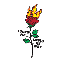 Red Rose Fire Sticker by By Samii Ryan
