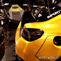 Gold Subaru GIF by ImportWorx