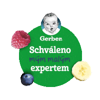gerber_nestle_czsk  Sticker