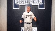 Georgia Tech Baseball GIF by Georgia Tech Yellow Jackets