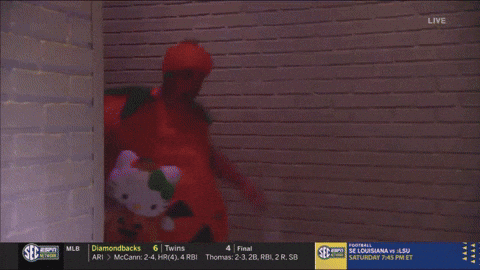 Florida Gators GIF by LSU Tigers