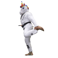 Black Belt Dancing Sticker by Academy Jiu-Jitsu