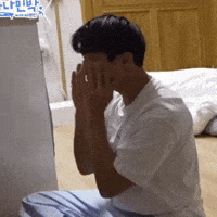 Dk 세븐틴 GIF