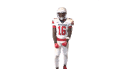 Flex Leroy Sticker by Richmond Spiders