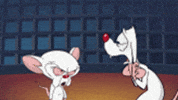 sad pinky and the brain GIF