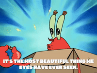 season 5 GIF by SpongeBob SquarePants