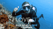 I Love It Shaka GIF by BMKL