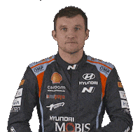 Hyundai Jarveoja Sticker by FIA World Rally Championship