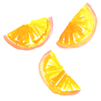 orange fruit Sticker by Lilly Pulitzer