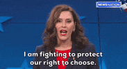 Gretchen Whitmer Michigan GIF by GIPHY News