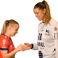 Sport Handball Sticker