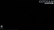gotham GIF by Fox TV