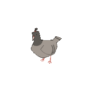 Nyustdmd Sticker