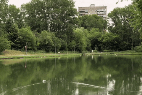 giphyupload moscow GIF