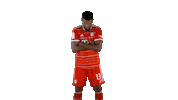 Head Up Football Sticker by FC Bayern Munich