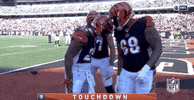 Regular Season Football GIF by NFL